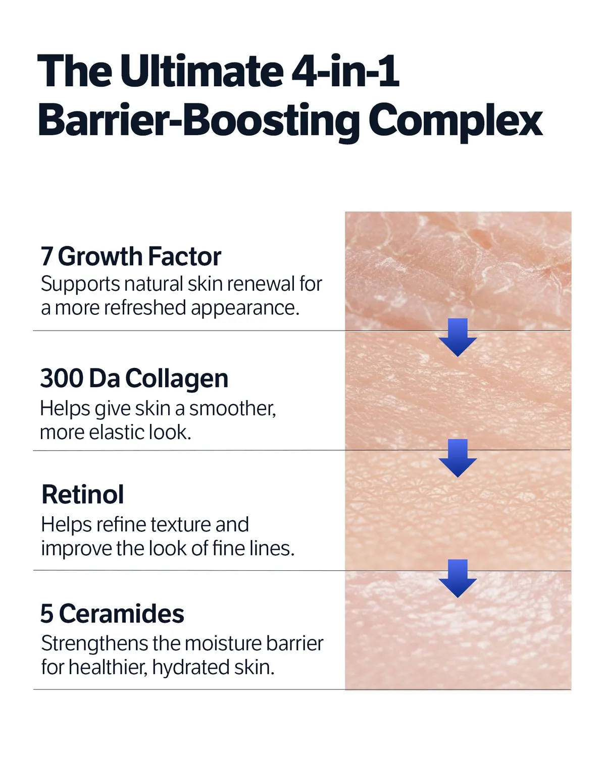 Sungboon Editor Deep Collagen 7GF crema notte 50 ml antirughe