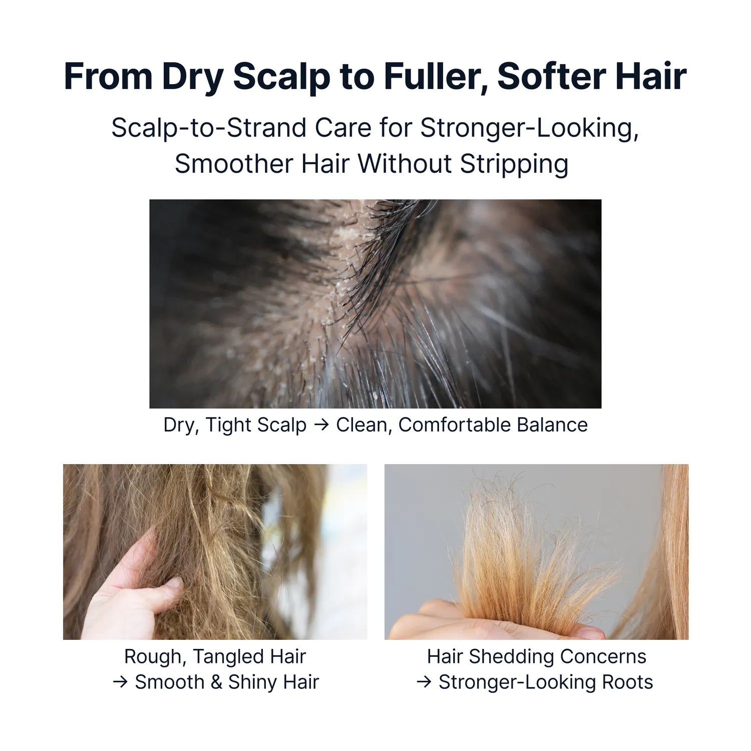 Sungboon Editor Silk Peptide EGF Collagen shampoo  volumizzante